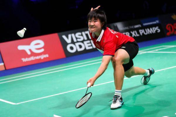 展提供了新 展提供了新